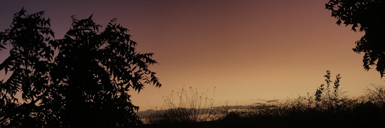 victorrmendes07's profile banner image