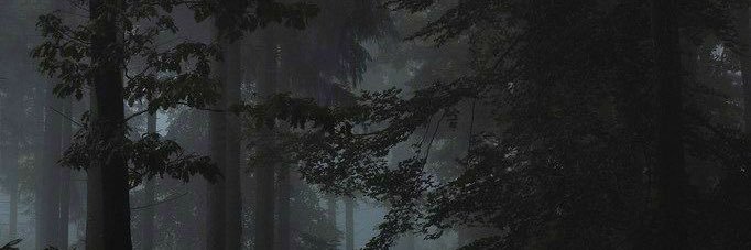 nelson96_'s profile banner image