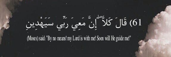 muhamd1983's profile banner image