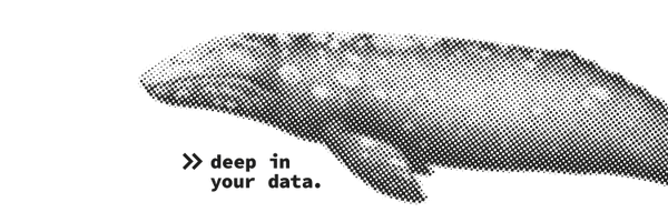 CatchyBigData Profile Banner