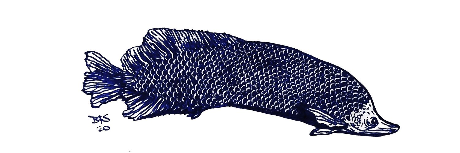Desenho Ladino banner