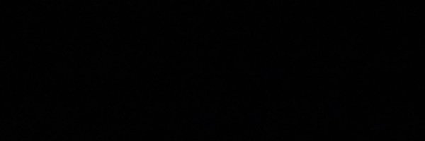 TheRealReese02 Profile Banner