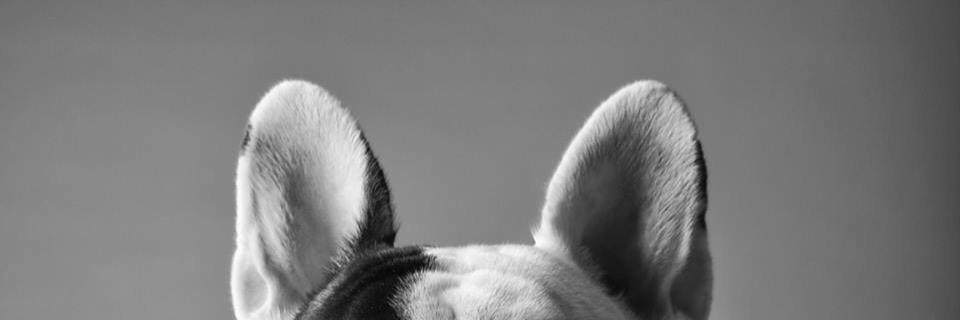 Chanapatearid's profile banner image