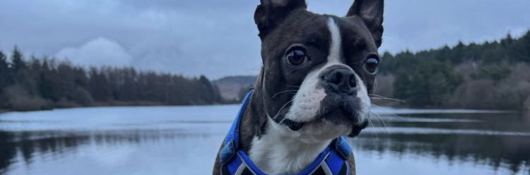 Victoria Gibson banner