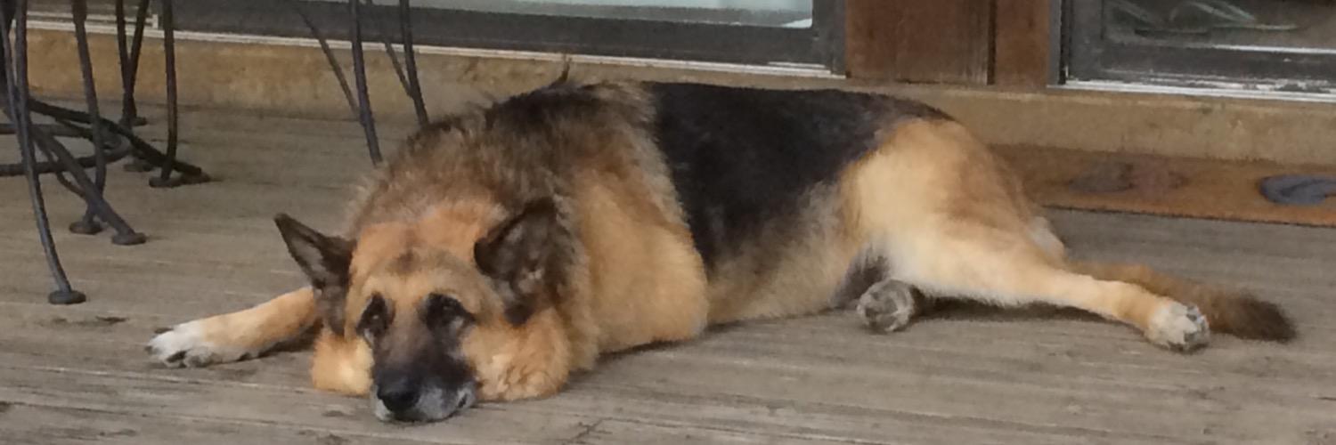 DoggTico's profile banner image
