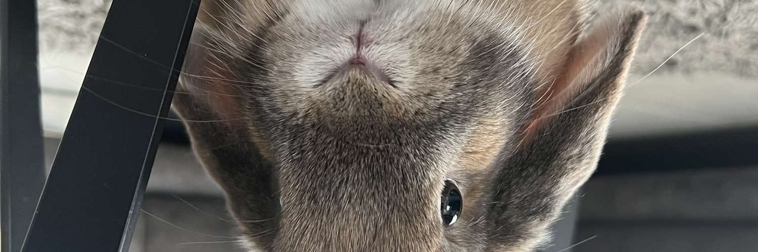 quentin_str's profile banner image