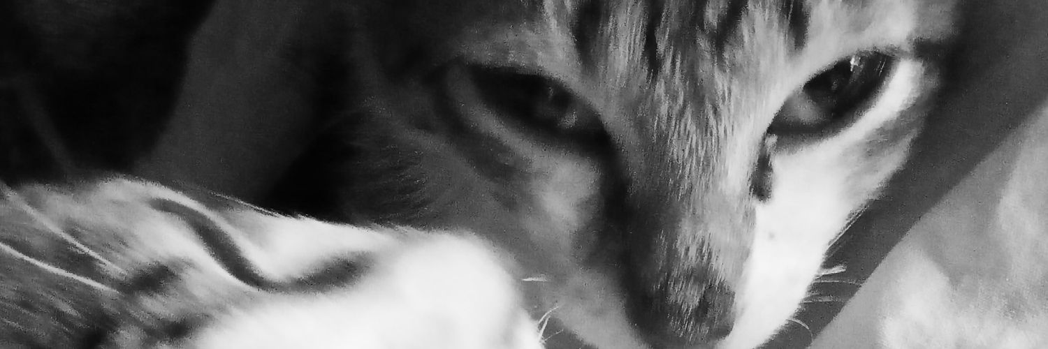 patrickvalz's profile banner image