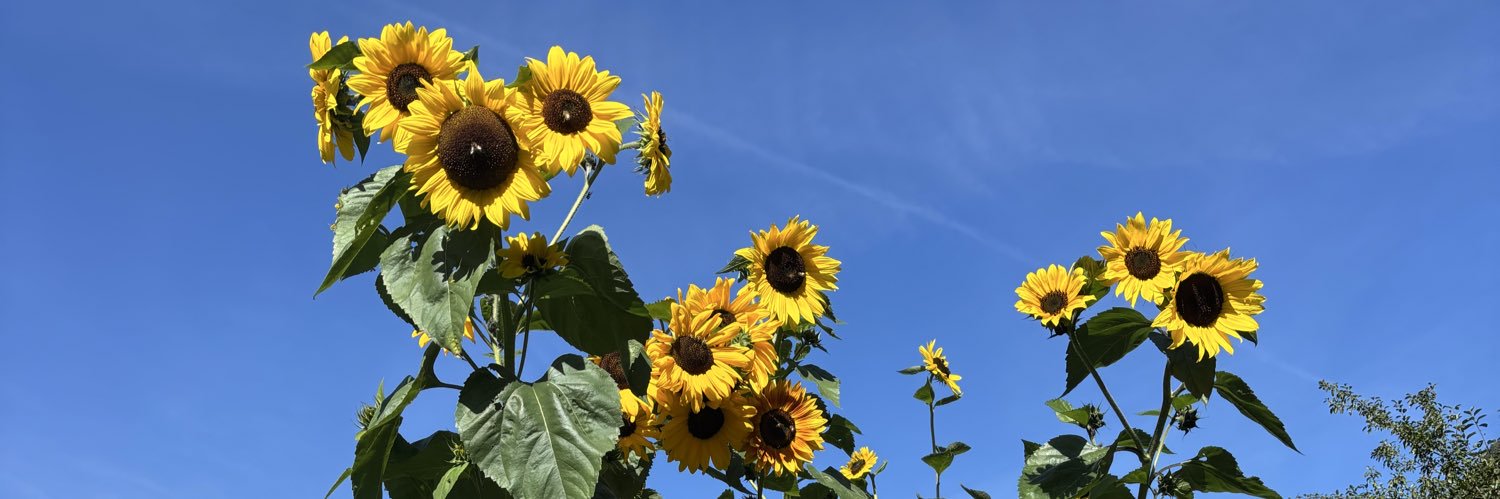 Lindy Ledohowski, PhD👩🏻‍💻📚🇨🇦🇺🇦 banner