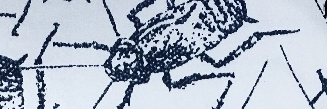 Die4154's profile banner image