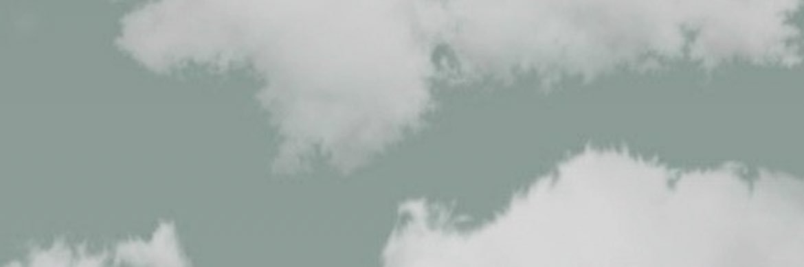 Binho banner