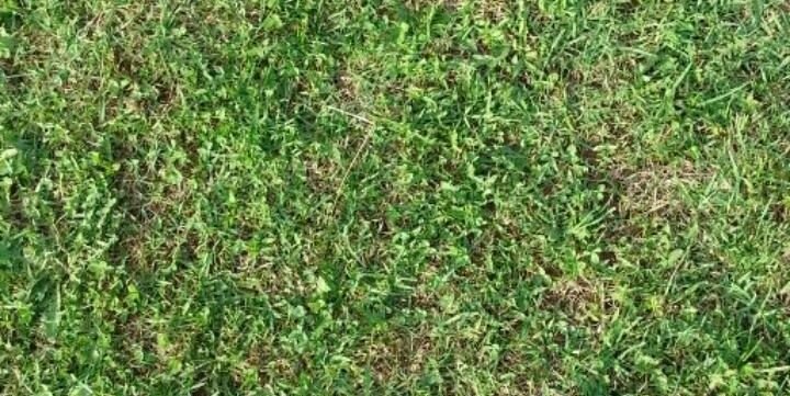 Marceines69's profile banner image