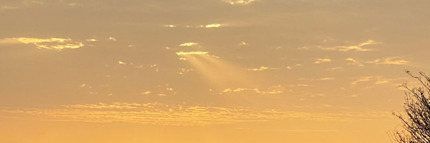 meshoo730's profile banner image