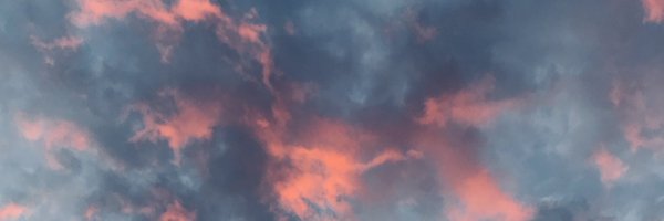 bobzparker Profile Banner