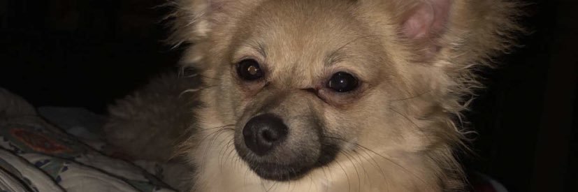 emree_morgan2's profile banner image