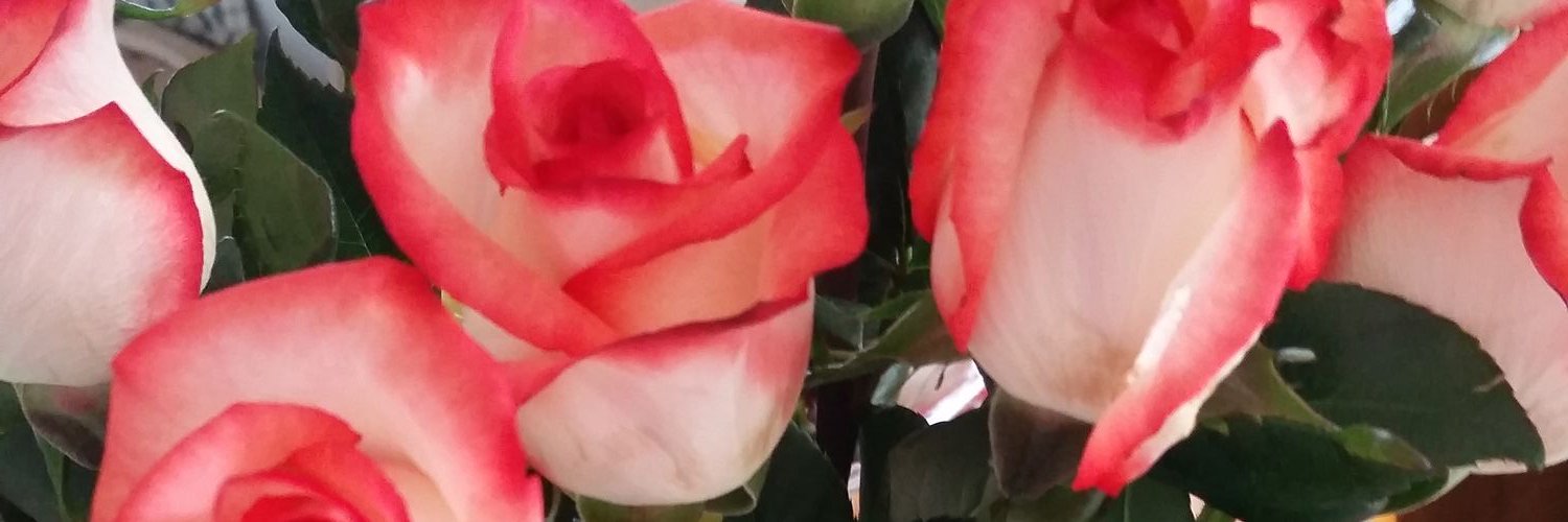 RachelSue8's profile banner image