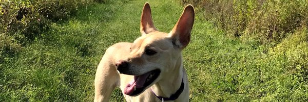 _MTAnderson Profile Banner