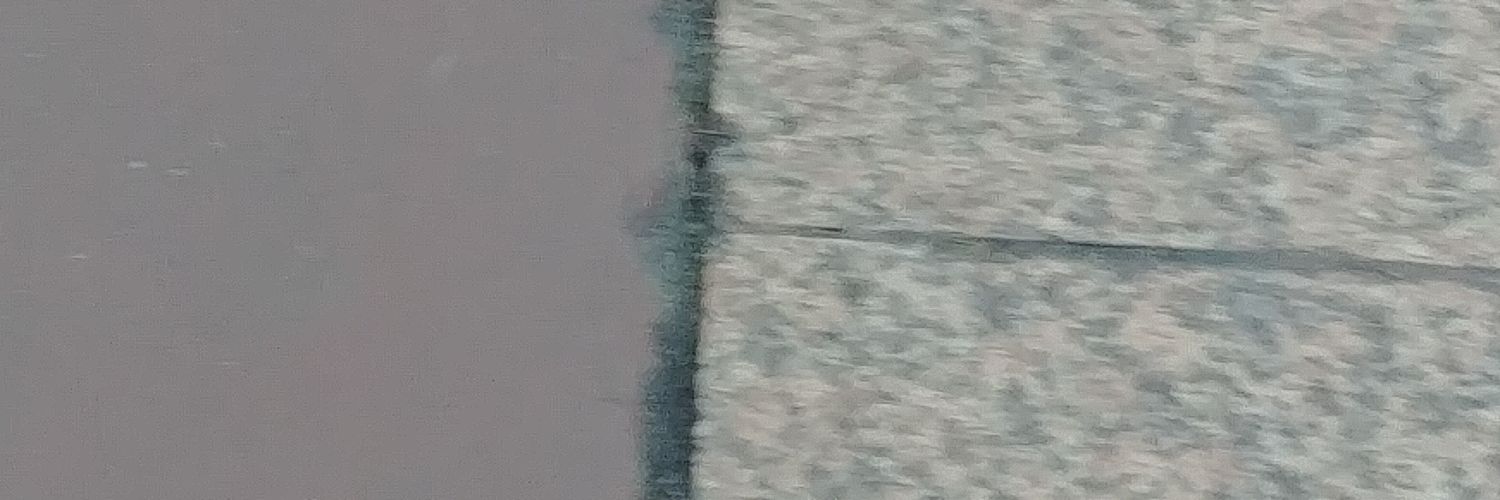 forest_boi's profile banner image