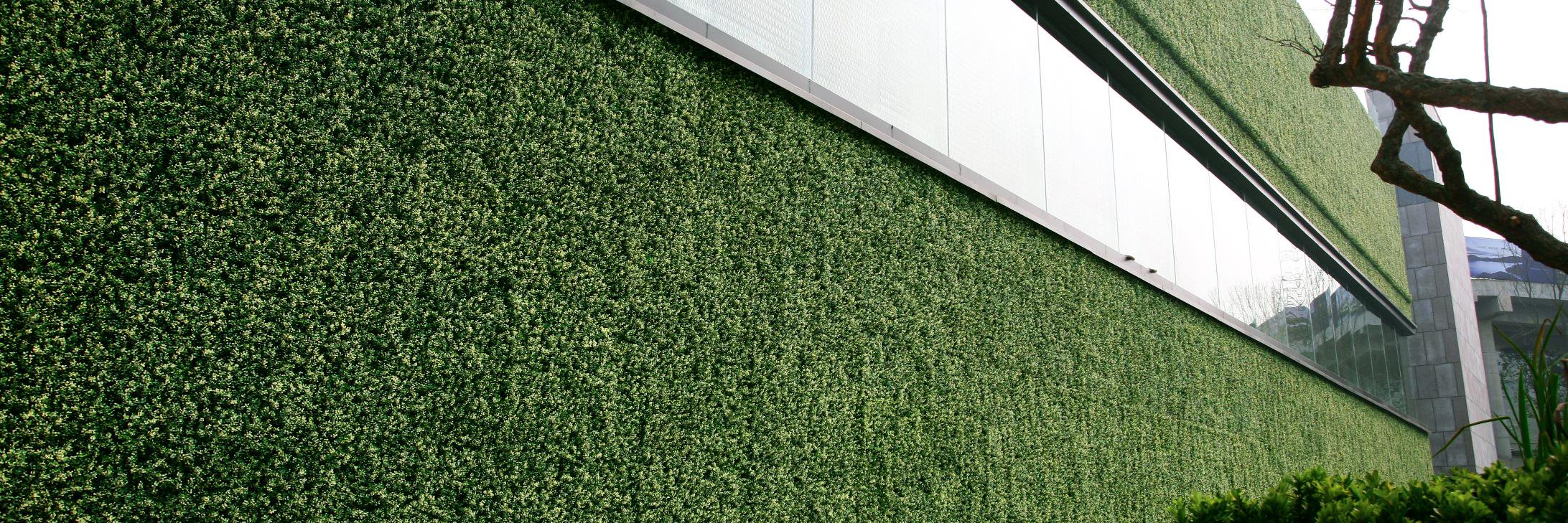 dgreenwalltx's profile banner image