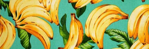 anavitz's profile banner image