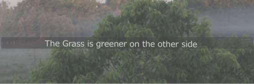 rodenhwigdr's profile banner image
