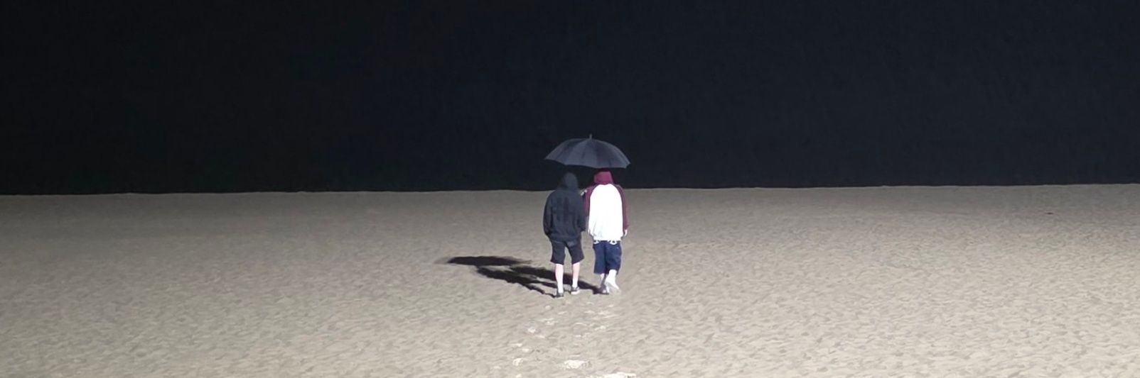 ︎ ︎︎︎ ︎ banner