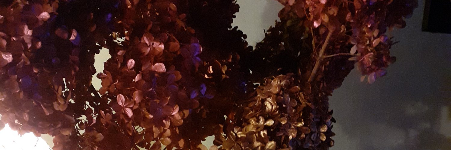 Betinkat's profile banner image