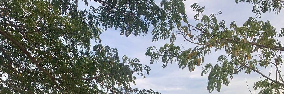 aleteranb's profile banner image