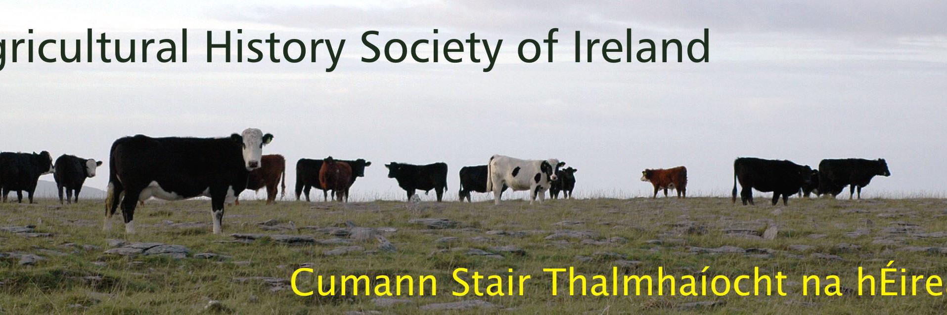 ag_hist's profile banner image
