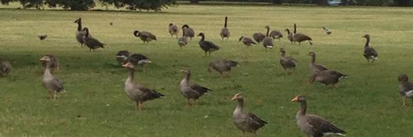 khaled_mutaeri Profile Banner