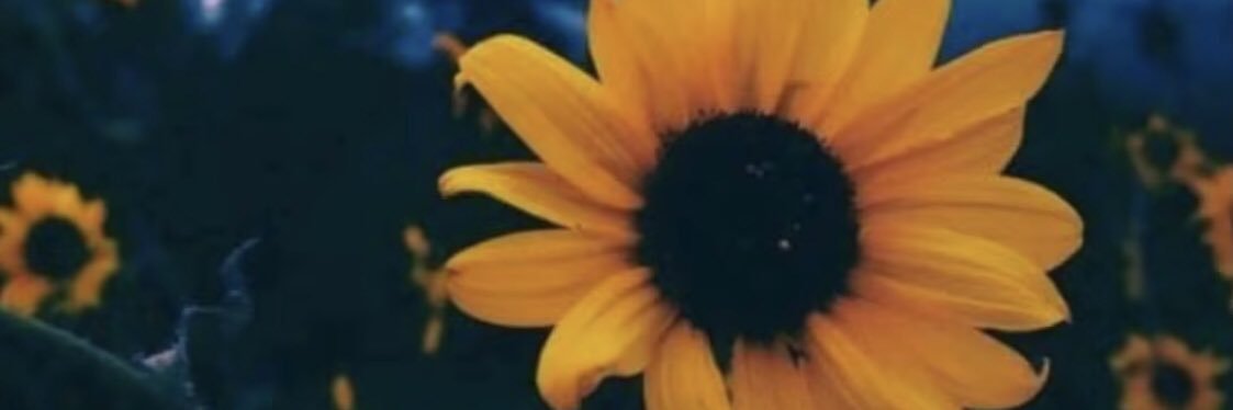 Lemonitza's profile banner image