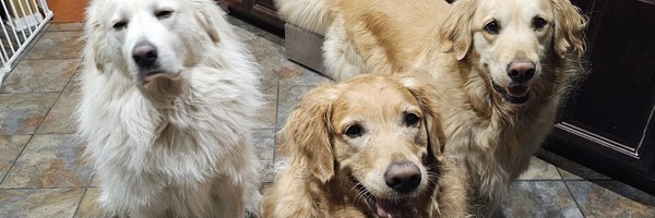 jlc0220 Profile Banner