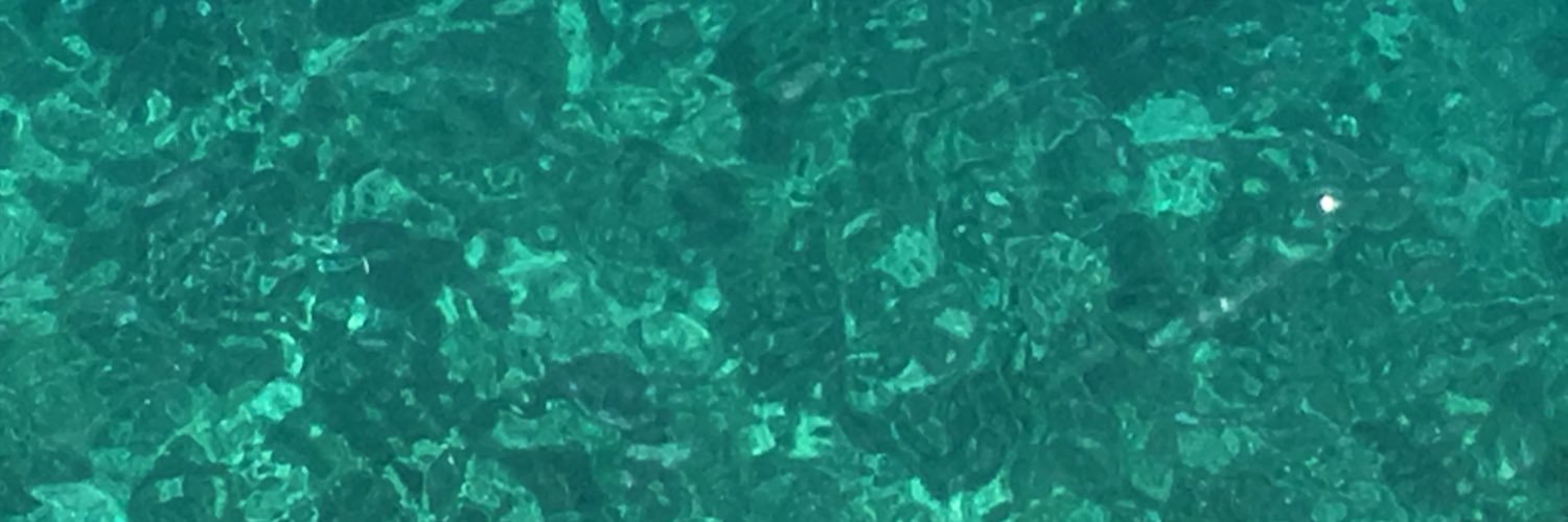 jlloreta29's profile banner image