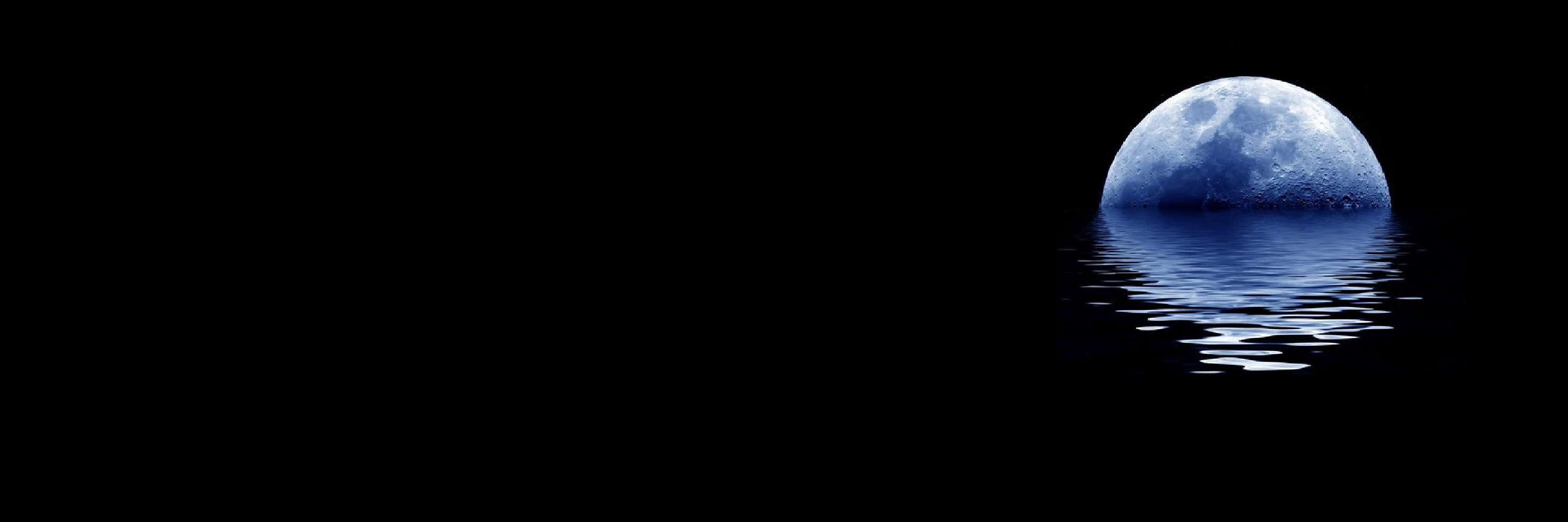 Crypto Rocket banner