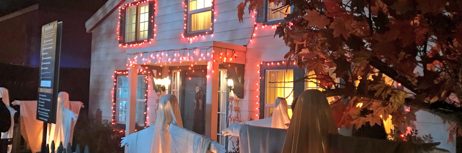 Dr Christopher Ripley banner