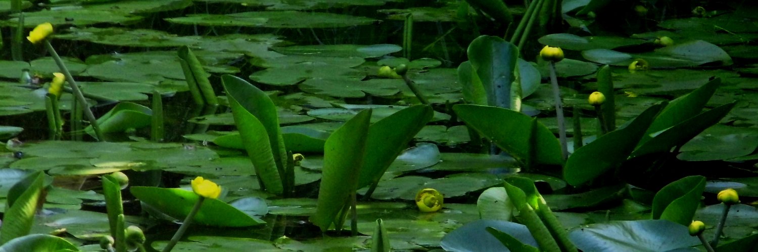 watersoldier1's profile banner image