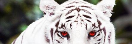 ph77474's profile banner image