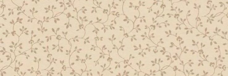 Vio. banner