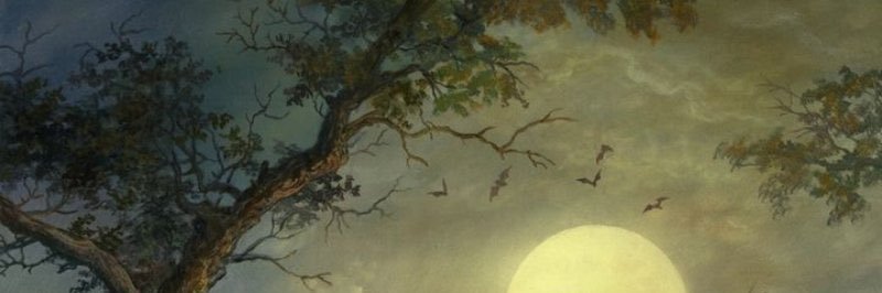chhlooooeee's profile banner image