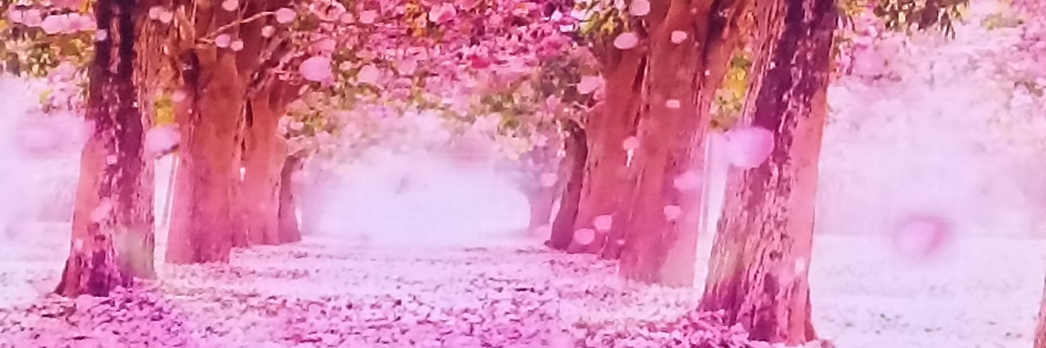 Raquelabri's profile banner image