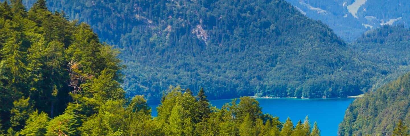 Fatih DENLİ banner