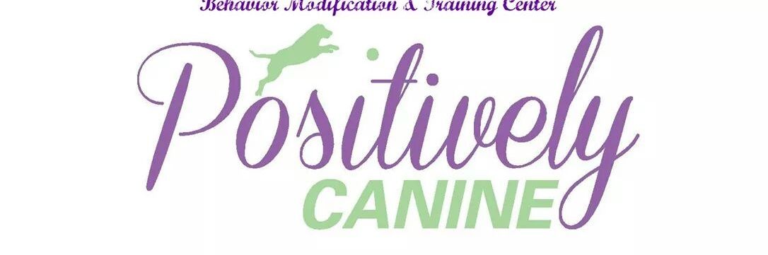 PCanine's profile banner image