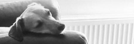 DrFinlayMcFin's profile banner image