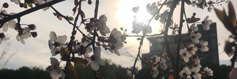 BBribena's profile banner image