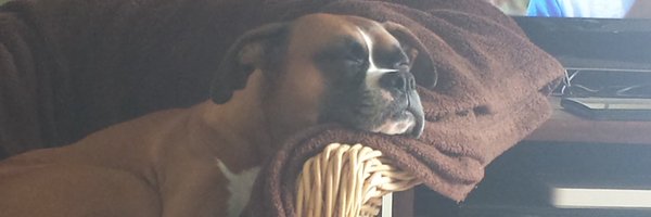 DawnLenhardt Profile Banner