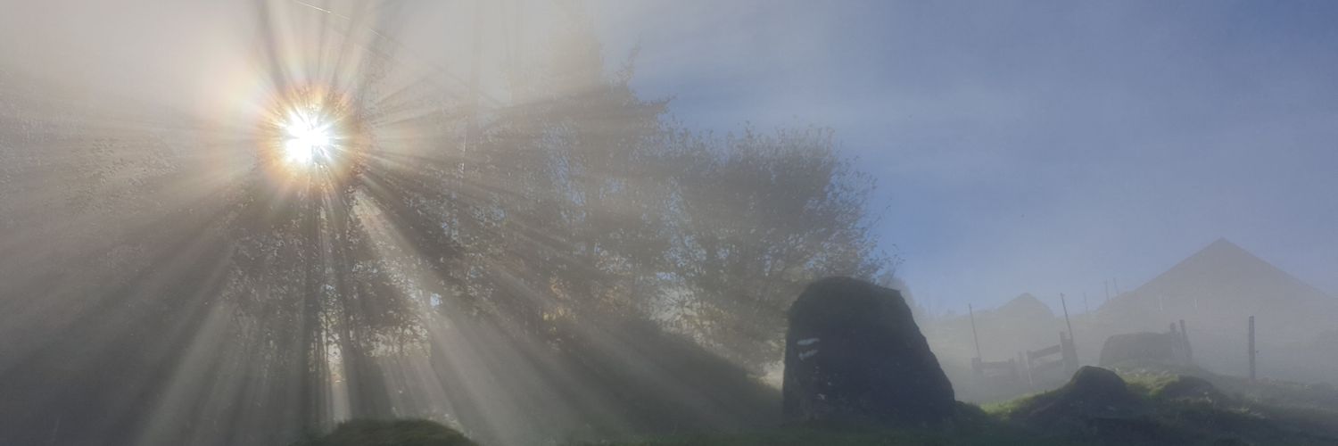 m72995029's profile banner image