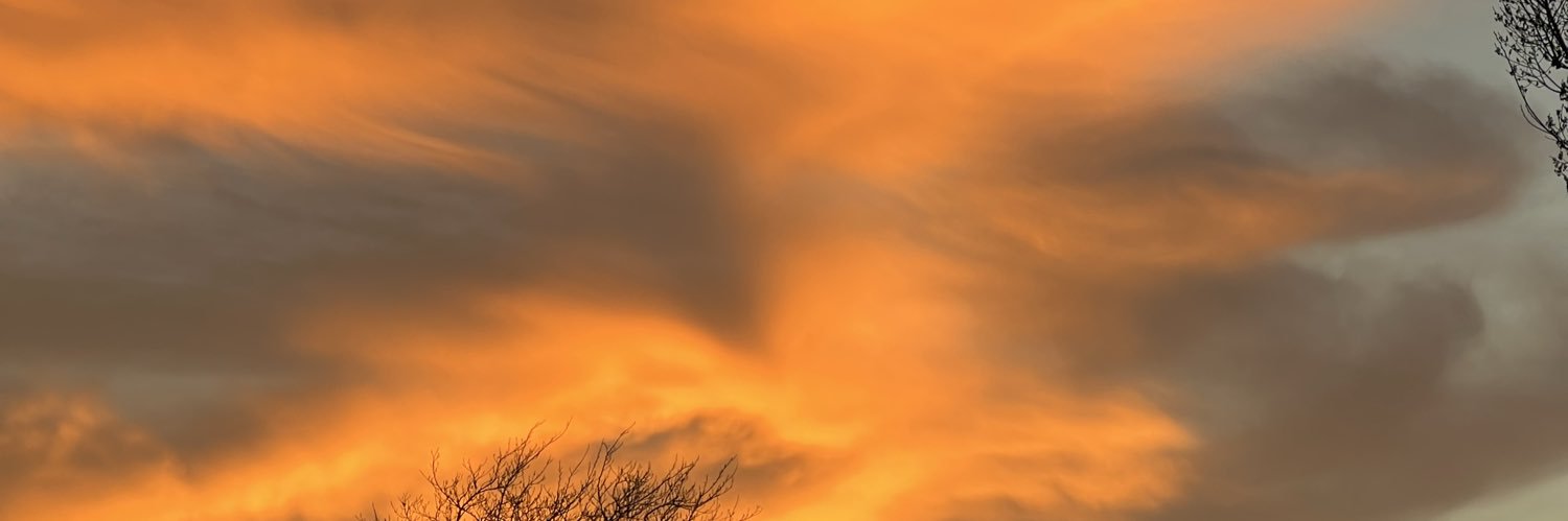 layynayy's profile banner image