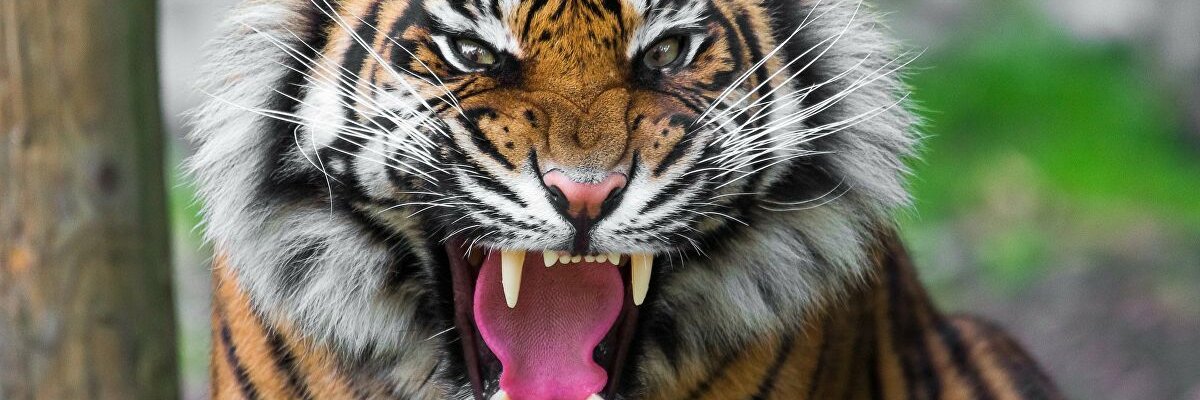 onurtuncaydemir's profile banner image