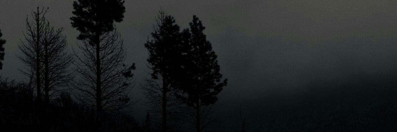 Boo_Cheek's profile banner image