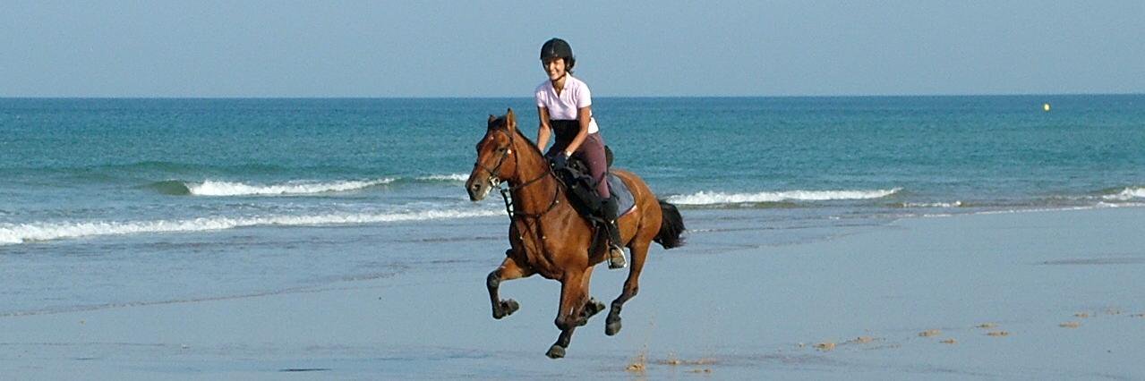 Rosa Wilkinson banner