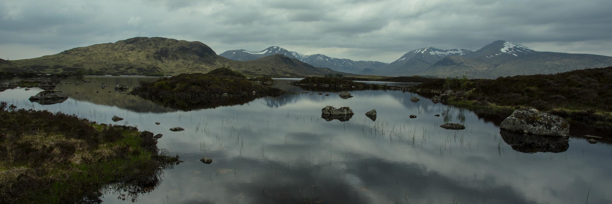 Dave Hunt-Jackson banner